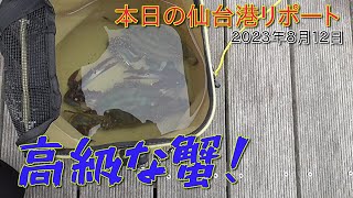 【釣り場レポート】本日の仙台港中央公園はサヨリと大蟹と