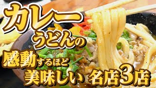 【感動するほど美味しい「カレーうどん」の美味しい讃岐うどん店!!】香川の街中飲食店!!一気見Part8🥢【香川県の有名人気店3店舗】