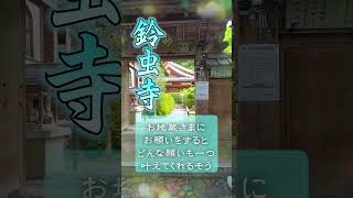 あなたを幸せに導く　京都のパワースポット Tik Tok 鈴虫寺