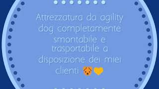 Attrezzatura da agility dog completamente smontabile e trasportabile