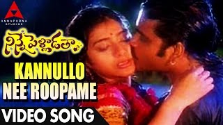Kannullo Nee Roopame Video Song - Ninne Pelladatha Movie - Nagarjuna,Tabu