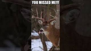 Deers when I miss #funny #deerhunting #disco