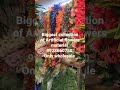 cheapest price for artificial flowers material