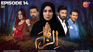 Ilzaam | Episode 14 | AAN TV