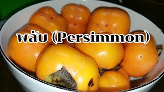 พลับมีกี่ชนิดได้ประโยชน์อะไรถ้าคุณกินควรเลือกแบบไหน(How many types of persimmon are useful?)