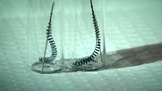 Fda Issues Risk Warnings About Essure Birth Control Device