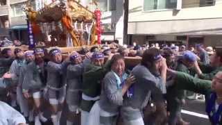 平成２５年 芝大神宮 例大祭  ダラダラ祭り 宮大神輿渡御。