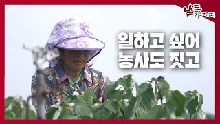 일하고 싶어 농사도 짓고 [남도지오그래피｜240702]