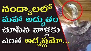 నంద్యాలలో మహా అద్భుతం...చూసిన వాళ్లకు ఎంత అదృష్టమో | Miracle In Nandyal Temple