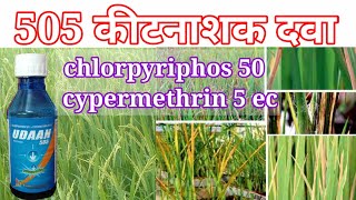 Chlorpyriphos 505 कीटनाशक दवा के बारे में @AmitBeejBhandarM