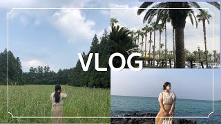 [VLOG] 늦여름 Jeju 여행🏝 브이로그 2박3일 일정 공유 | 제주도 맛집부터 카페까지 | 숨겨진 제주 핫플 | 가족여행 코스 추천 | 제주도 숙소추천 | 우도 | 통갈치구이