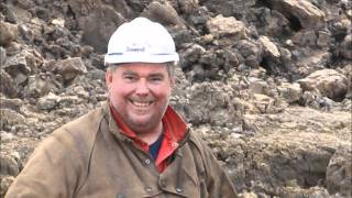 561 PIPELAYER