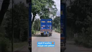 Amazing truck driving skills // බස් සහ ලොරි තරගයක් 😍