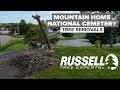 Removing Trees for Mountain Home National Cemetery