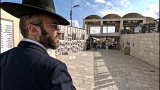 Jerusalem. Walk to the Western Wall. Friendly cat and the beauty of the Ancient City