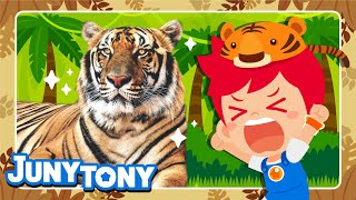 Roar! The Year of the Tiger🐯 | Let's Learn About Tigers | Animal Songs for Kids | JunyTony