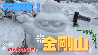 【雪山登山】大寒波の金剛山で霧氷と氷瀑が！