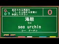 【quiz】「う」から始まる言葉に和訳クイズ【 215】