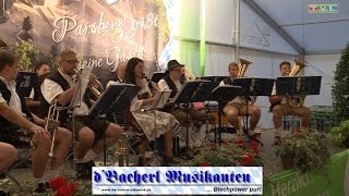 www.Bacherl-Musikanten.de (Live am Volksfest Parsberg 2016)