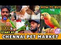 Chennai Broadway Pet Market 2024 | Buy & Sell any Pets Here | Mannady Kozhi Market | #petvlog #birds