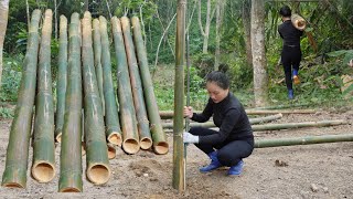 Cut down bamboo trees to design bamboo houses to build frames Trinh Ha - Daily Life