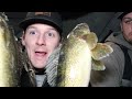 ice fishing walleyes on lake minnetonka