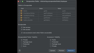 Refactoring in Intellij: Field Encapsulation Refactoring