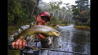 Trout Fishing Eildon's rivers after the rain