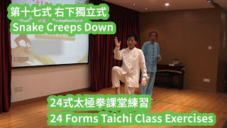 二十四式太极拳EngCC【第十七： 右下独立式 】24 forms of Tai Chi 【No.17】Snake Creeps Down-Right