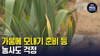 가뭄에 모내기 준비 등 농사도 걱정 (뉴스투데이 2023.03.27 광주MBC)