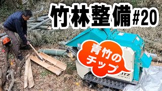 伐採青竹で竹チップ  【竹林整備】#20　ウッドチッパー