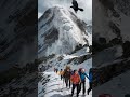 a crow warns about an incoming avalanche. shortvideo