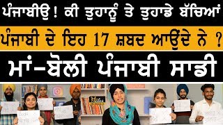 Do you know these 17 Punjabi words || Lets learn pure Punjabi || Team The Khalas TV