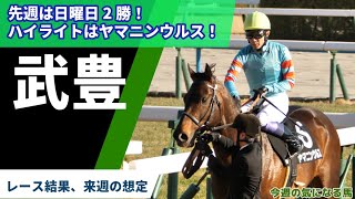 【武豊】先週は日曜2勝！日経新春杯がメインだったけど兎にも角にもヤマニンウルス！期待の3歳馬も登場！