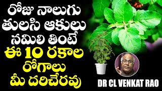 రోజు నాలుగు తులసి ఆకులు తింటే .? || Basil Tree health  Benfits Telugu || CL Venkat Rao || TX TV