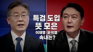 [영상] 특검 도입 뜻 모은 이재명·윤석열...속내는? / YTN