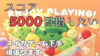 目指せ５０００！【スイカゲーム】【Vtuber準備中】