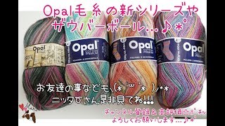 【新シリーズ】Opal毛糸の紹介＆ザウバー、ニッターさんに感謝【2019/3/6(水)】