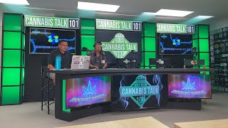 Cannabis Talk 101 live podcast