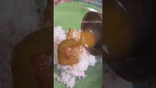 No Lunchbox Minivlog-19 Sambar Rasam Vaazhaipoo Poriyal  Keerai Kadayal Appalam #shorts #shortsfeed