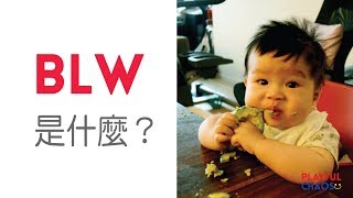 BLW是什麼？嬰兒主導進食法/斷奶法