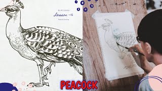 Lesson -16#peacock#easy drawing peacock#step by step drawing peacock#simple drawing peacock#peacock#