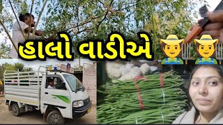 હાલો વાડીએ !! #hkfamilyvlog #hiteshkiranvloge