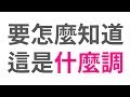 要怎麼知道一首曲子是什麼調？