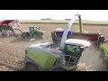 2023 cy silage harvest