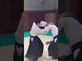 後ろ両肩取り自由技 合気道 aikido