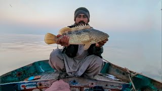 Back To Back Grouper Fish In Nice Weather | Mangroves Bottom Fishing Karachi