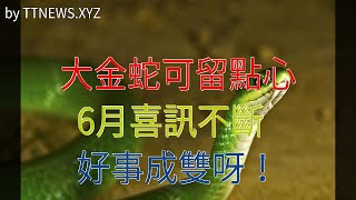 大金蛇可留點心，6月喜訊不斷，好事成雙呀！