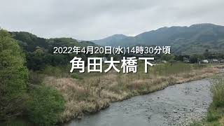 No.98撮って出し❗️速報❗️雨上がりの平日水曜日、気温も低く曇り空のなか、中津川河川敷キャンプ混雑はどうなのか！GW前最後のリポート。これから無計画キャラバンにでます。次回更新はGW明け,