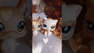 мои новые ребята в коллекции☺ #littlestpetshop #lps #lpsedit #lpstube #лпс #лпсклип #новинка